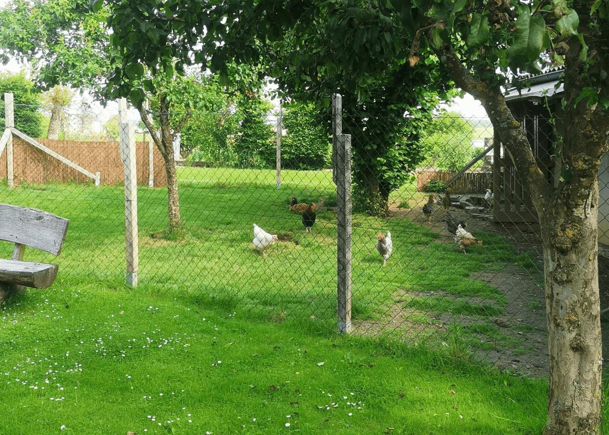 Ferienwohnung Am Wasserfall Nohn  Exterior foto